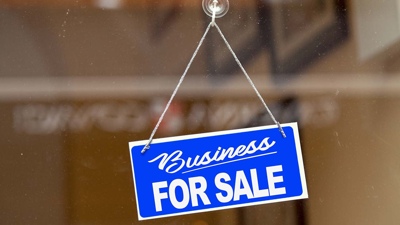 business-for-sale-summary