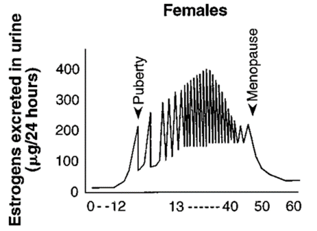 Oestrogen Levels