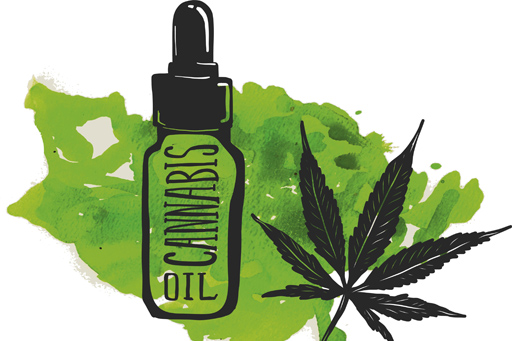 Cannabis oil_visual_sum.jpg
