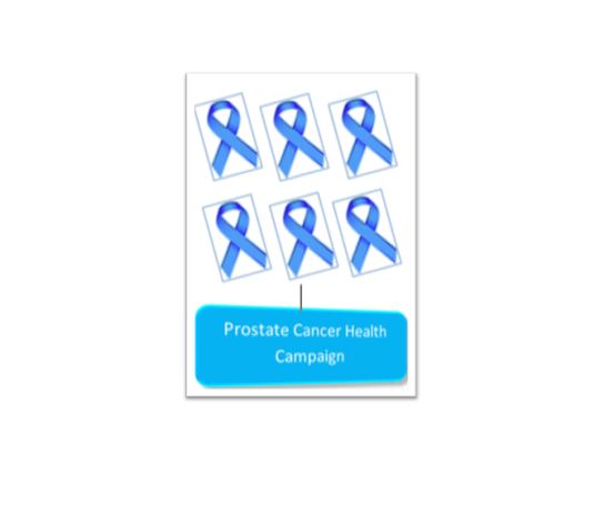 Prostate cancer summary image.JPG